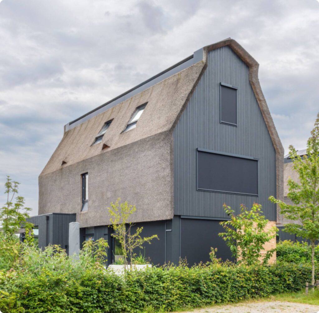 Inspiratie-suncircle