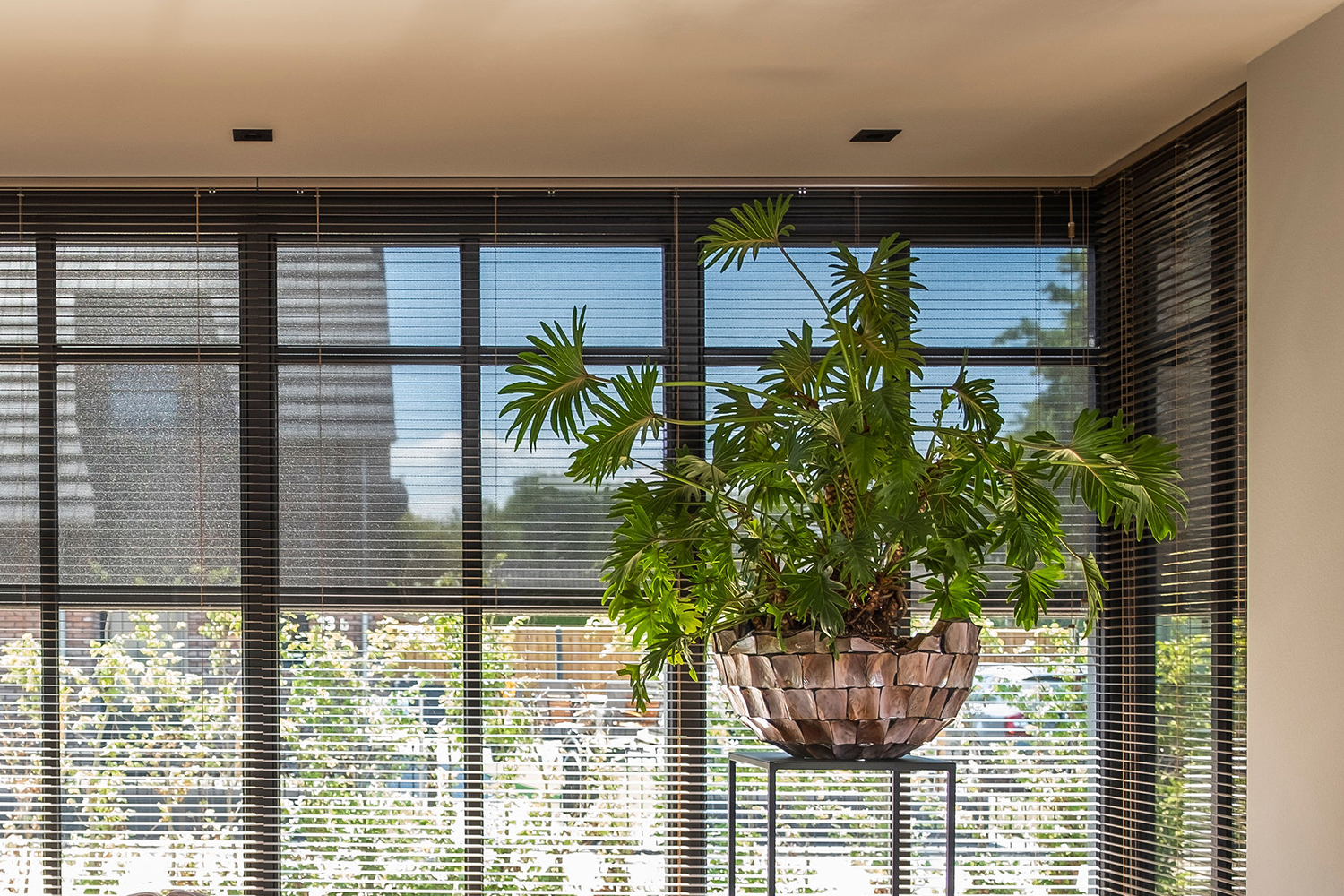 Zonnescherm-woonkamer-thumbnail